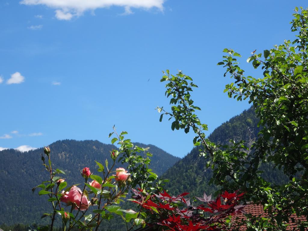 Alpin-Check-In Apartment Reutte Room photo